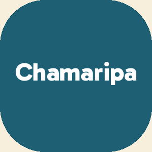 Chamaripa